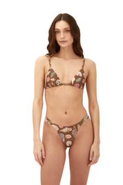 Earth Seashell Bold Bottom